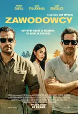 Zawodowcy 2D napisy